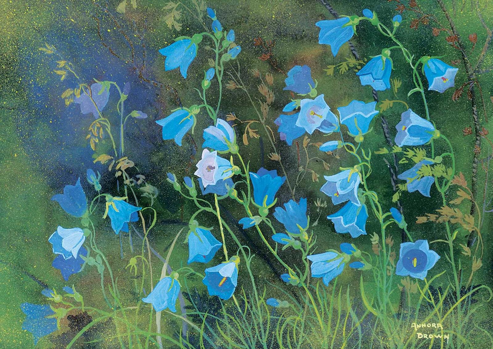Annora Brown (1899-1987) - Untitled - Bluebell Flowers [Harebell]
