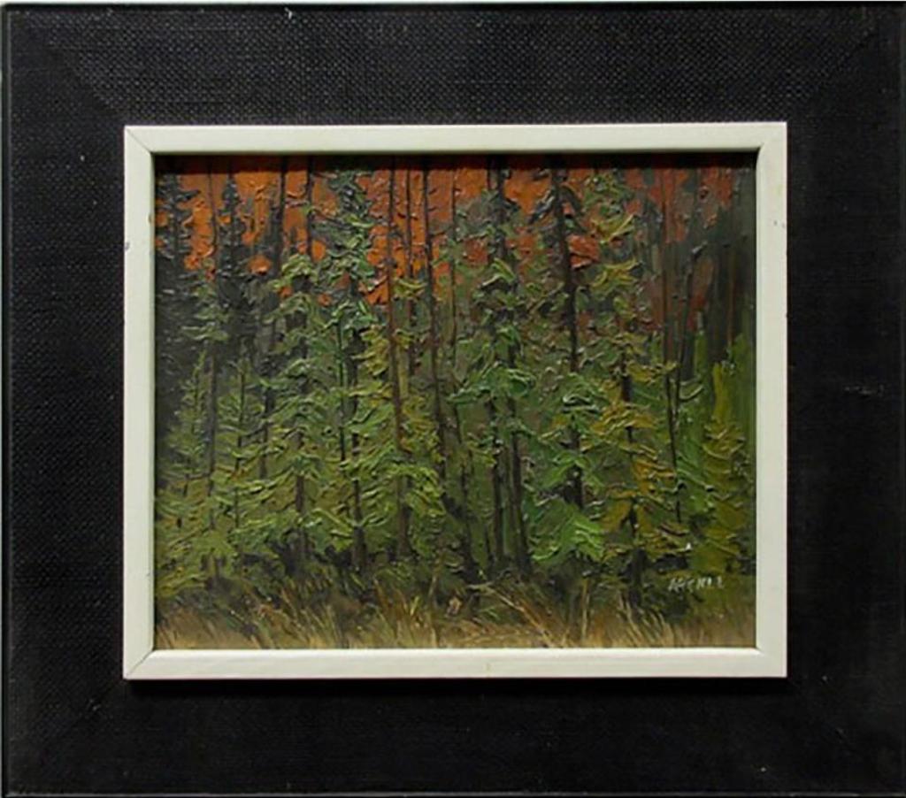 Lawrence Nickle (1931-2014) - Bush Near Big East River W. Algonquin Pk.