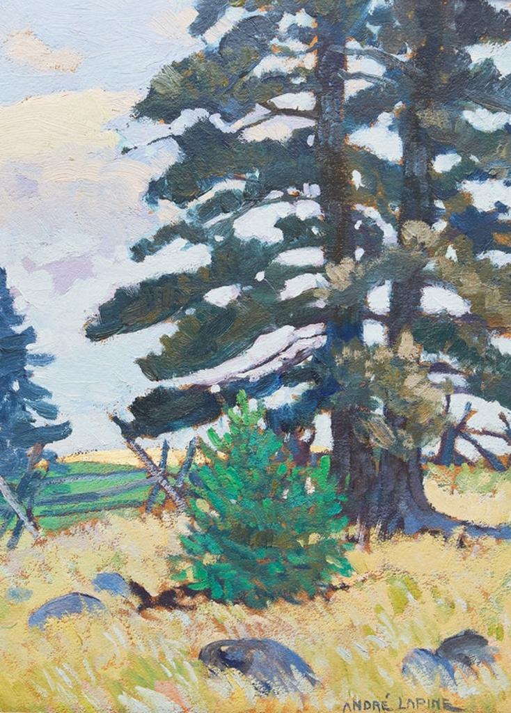 Andréas Christian Gottfried Lapine (1866-1952) - The Pines II, “Capt” Millars Cottage, Big Bay Point