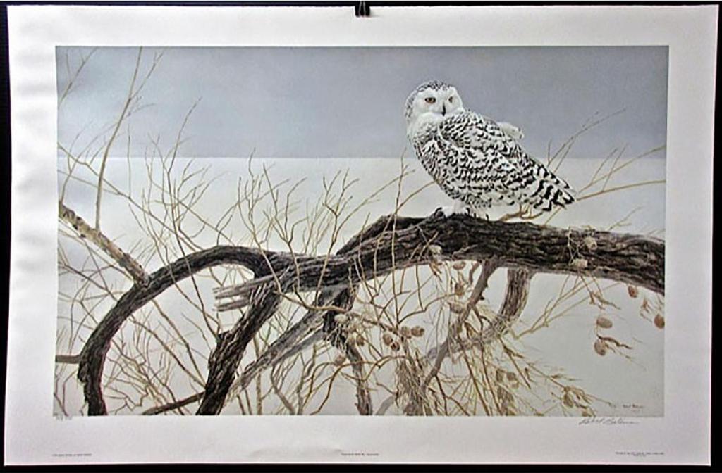 Robert Mclellan Bateman (1930-1922) - Fallen Willow - Snowy Owl