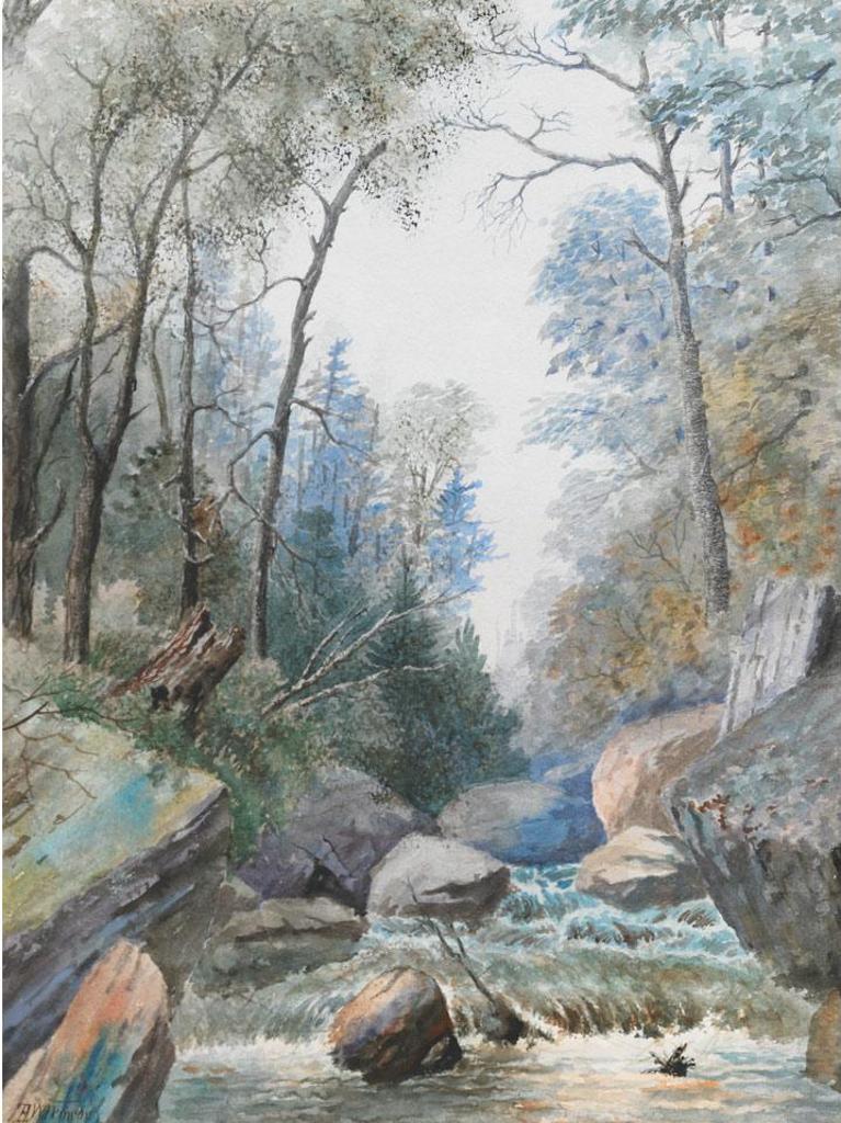 Thomas Harrison (T.H.) Wilkinson (1847-1929) - Rushing Rapids
