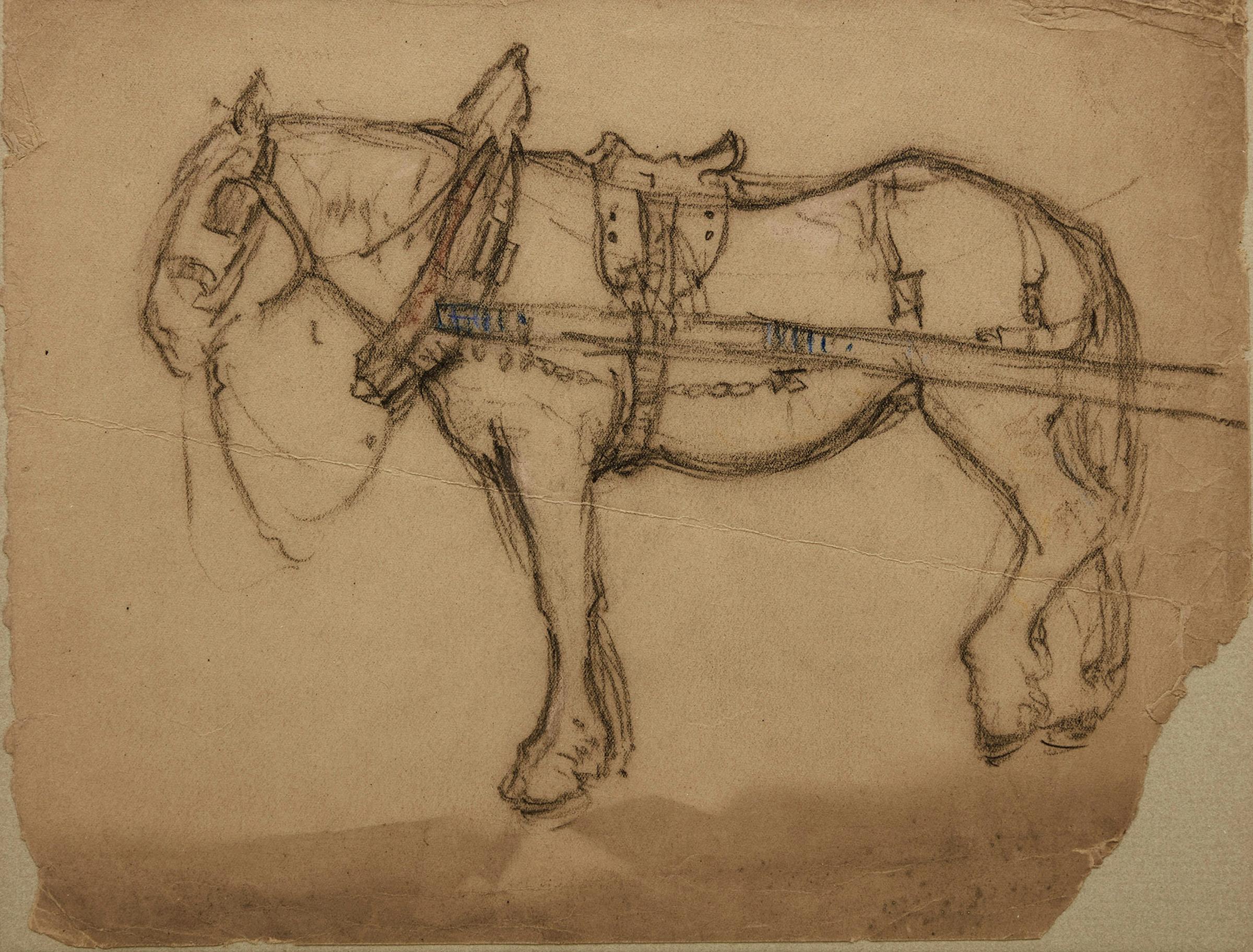 Manly Edward MacDonald (1889-1971) - Study of a Horse