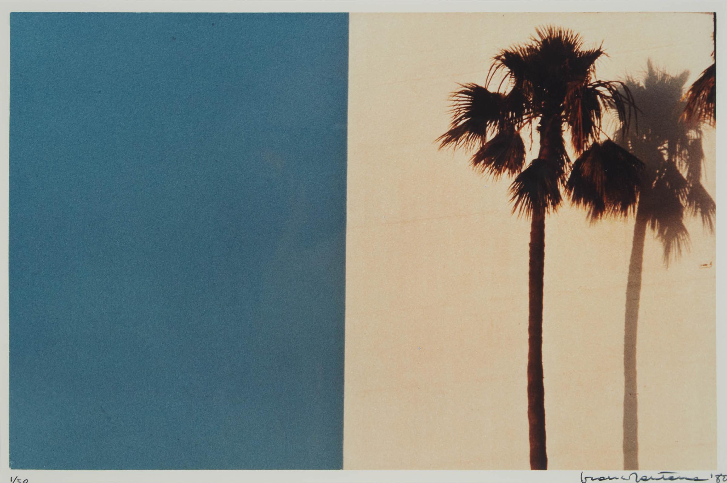 Franco Fontana - Untitled (Palm Trees), 1980