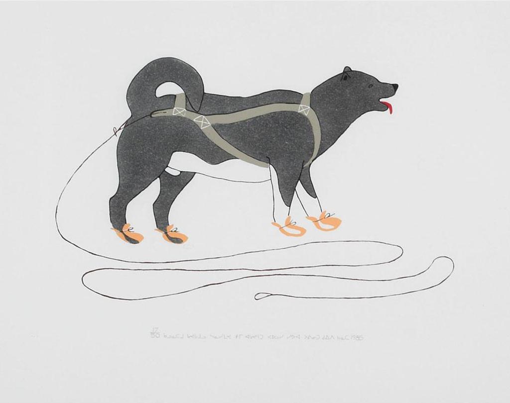 Paulosie Amamatuak Sivuak (1930-1986) - Dog Sticking Out His Tongue