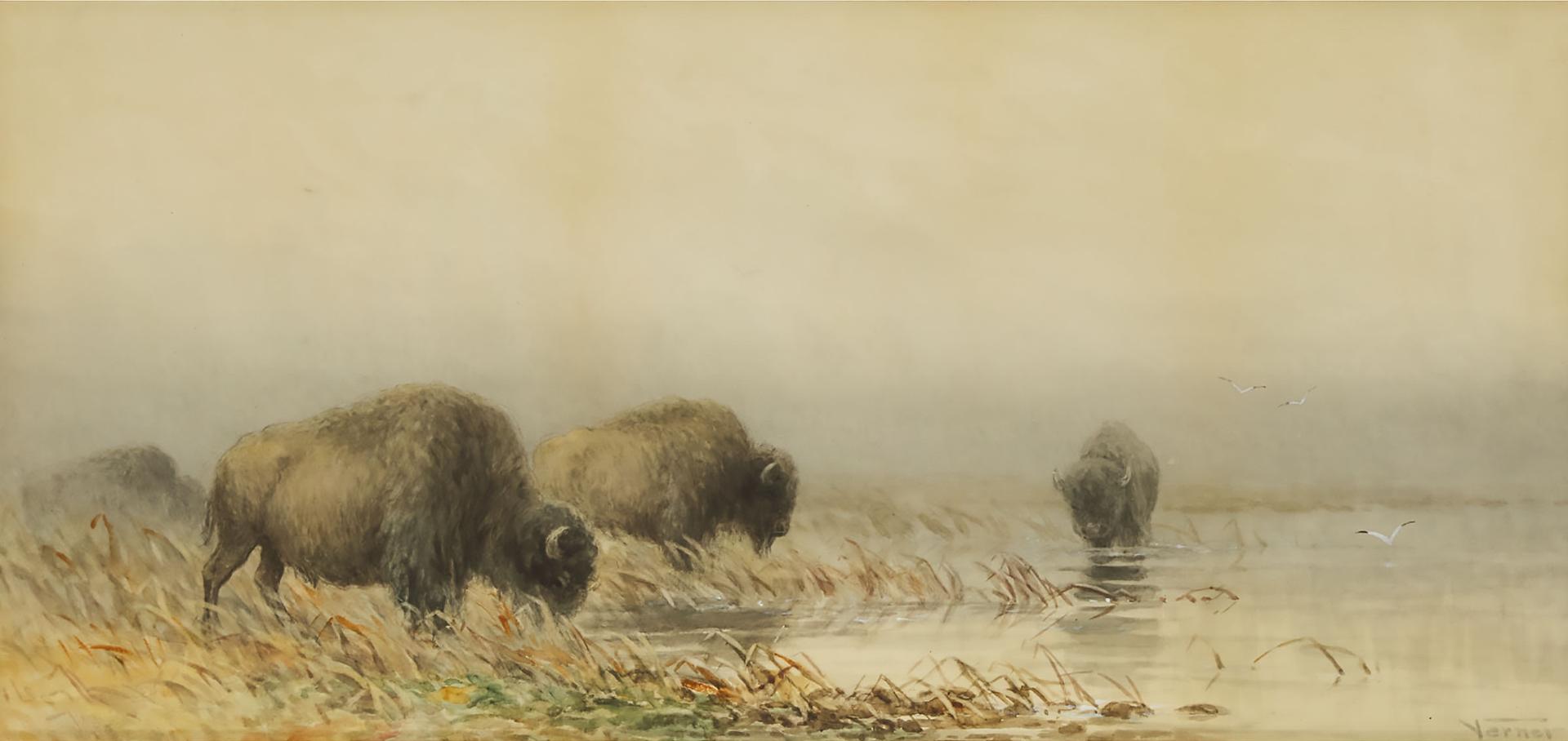 Frederick Arthur Verner (1836-1928) - Untitled (Bison At Water's Edge), 1884