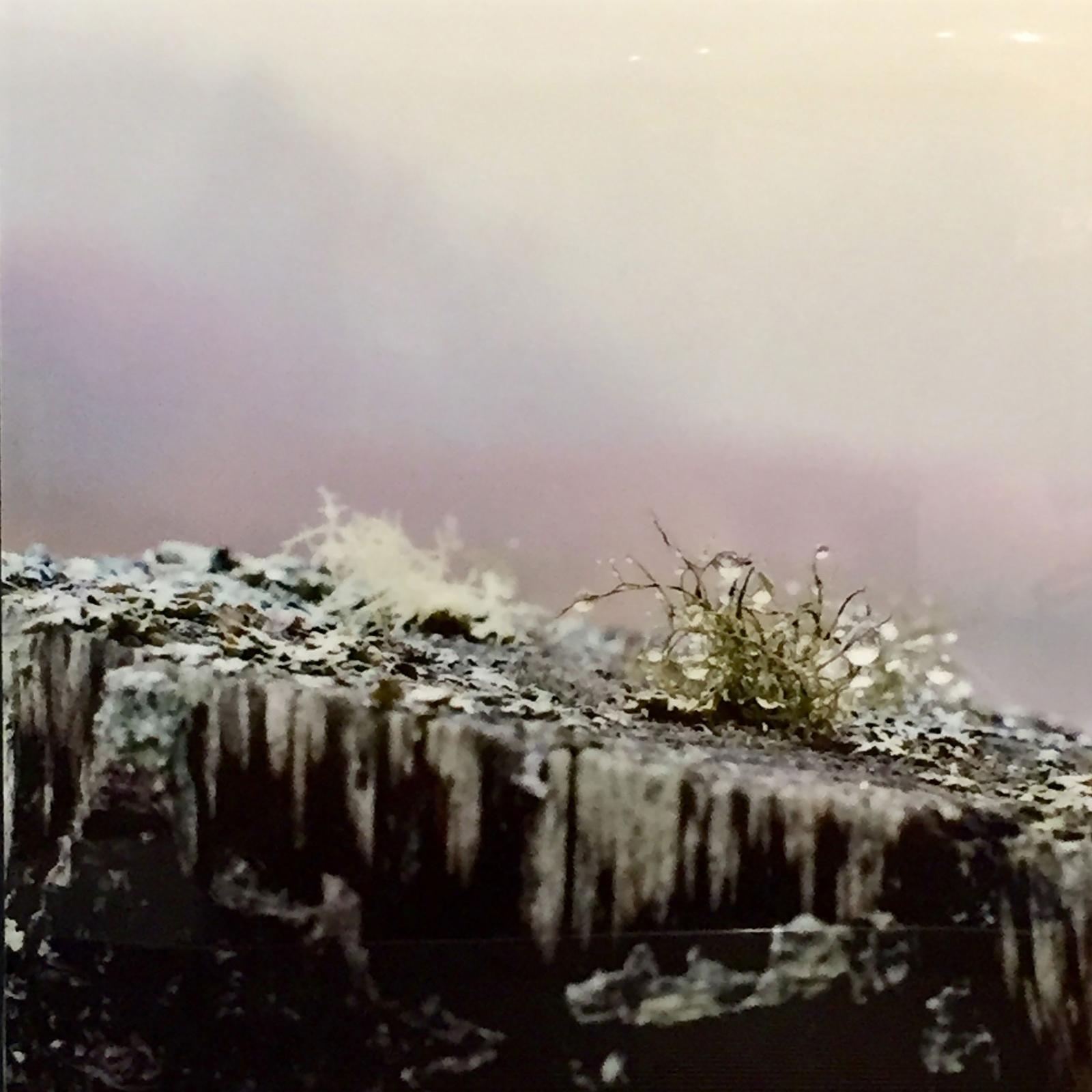 Lori Ryerson - Clarity In The Fog