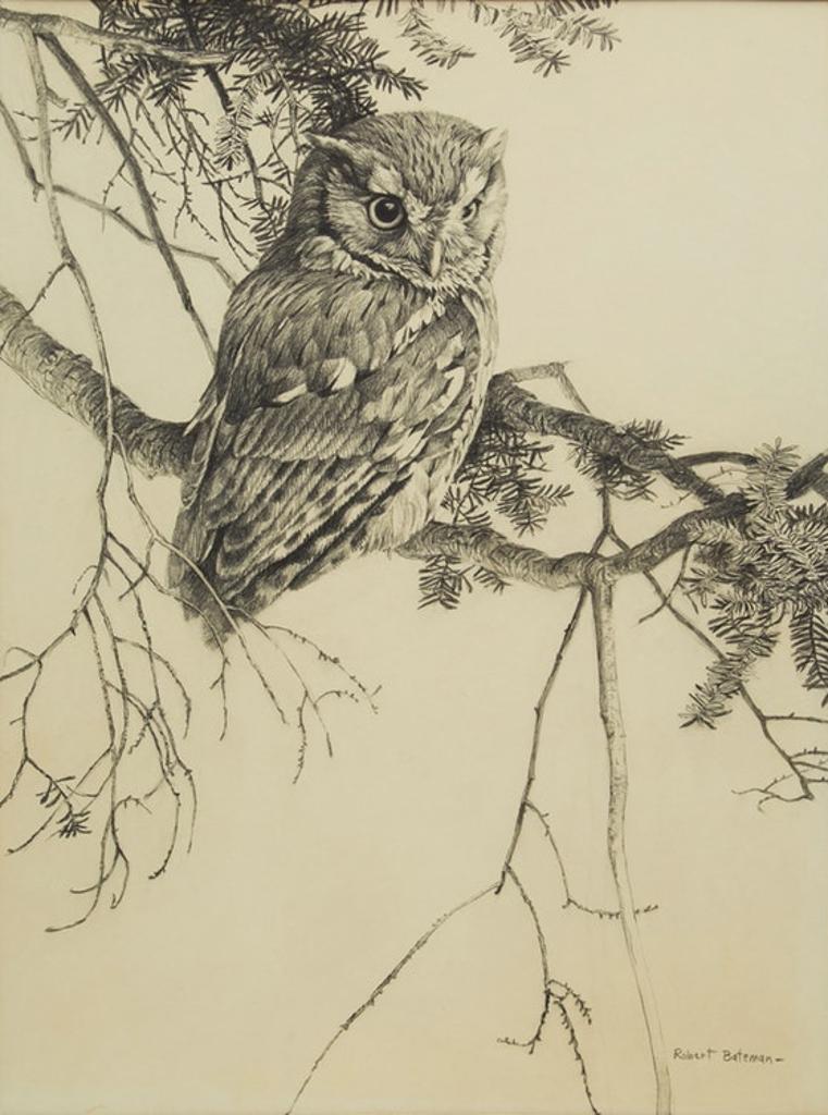 Robert Mclellan Bateman (1930-1922) - Owl Sketch