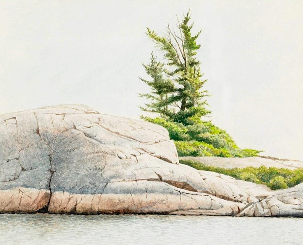 Ivan Trevor Wheale (1934) - Pine On Manitoulin (Fraser Bay #13)