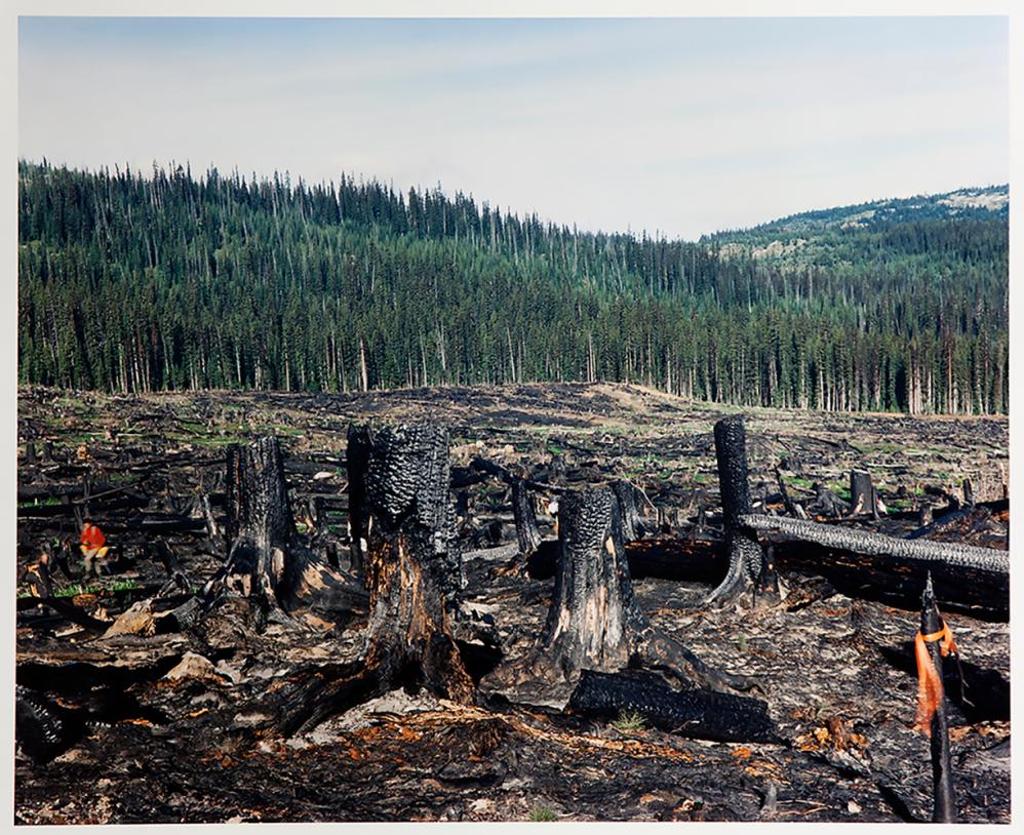 Lorraine Gilbert (1955) - John in a Slash Burn, Princeton, BC.