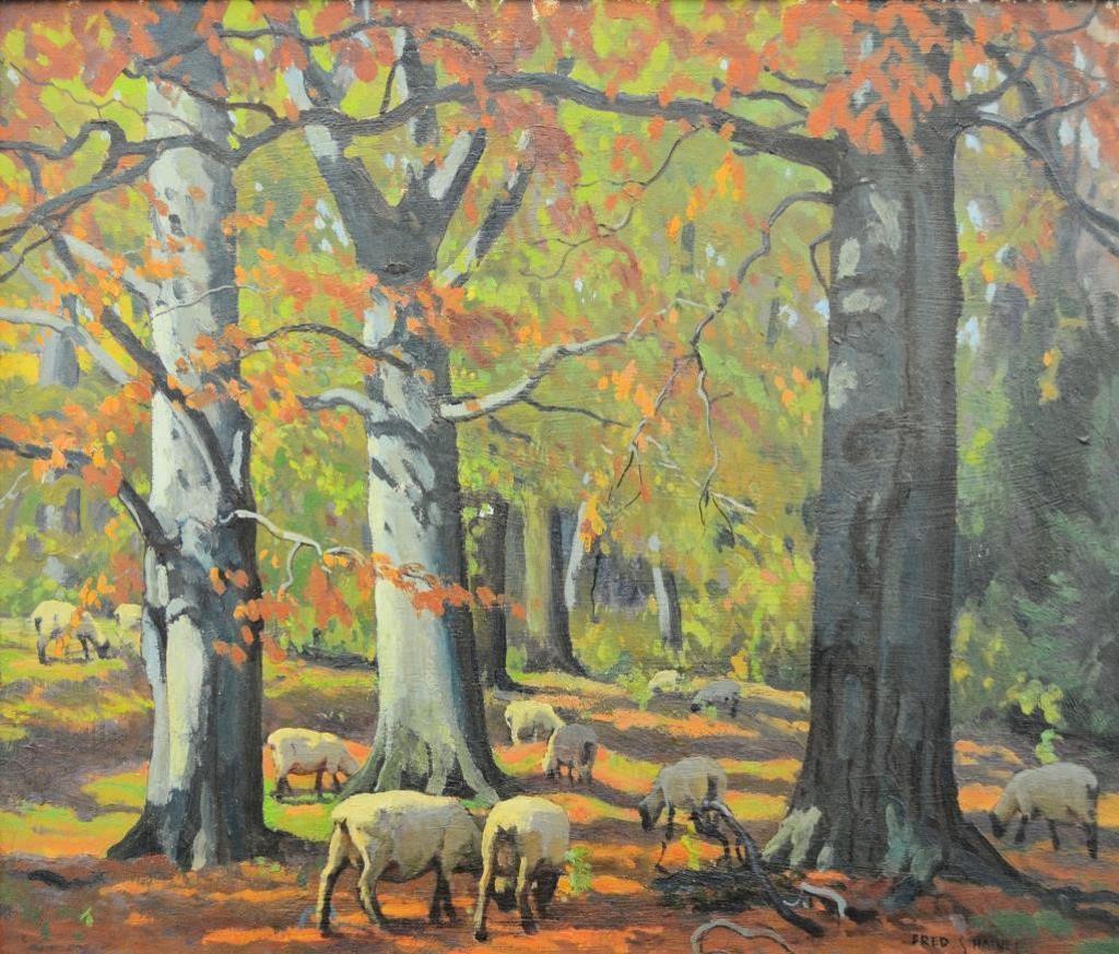 Frederick Stanley Haines (1879-1960) - Sheep in Forest
