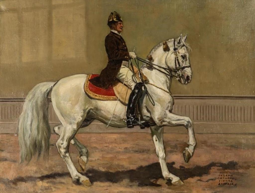 Joseph Ortloff (1891-1956) - Lipizzaner Horse (Wiener Hofreitschule)