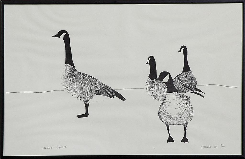 Cathcart - Canada Geese