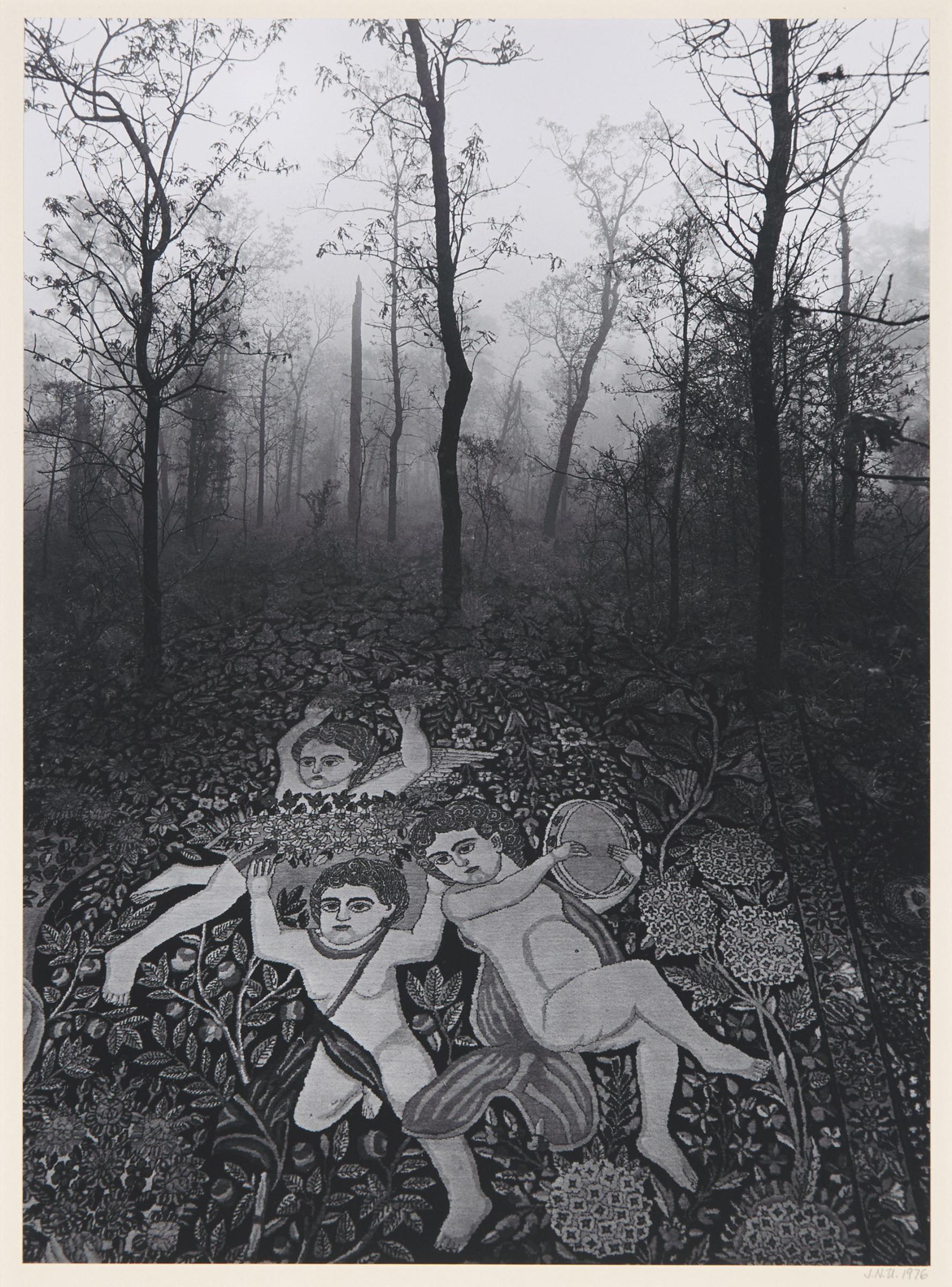 Jerry Uelsmann - Untitled (Forest Carpet), 1976