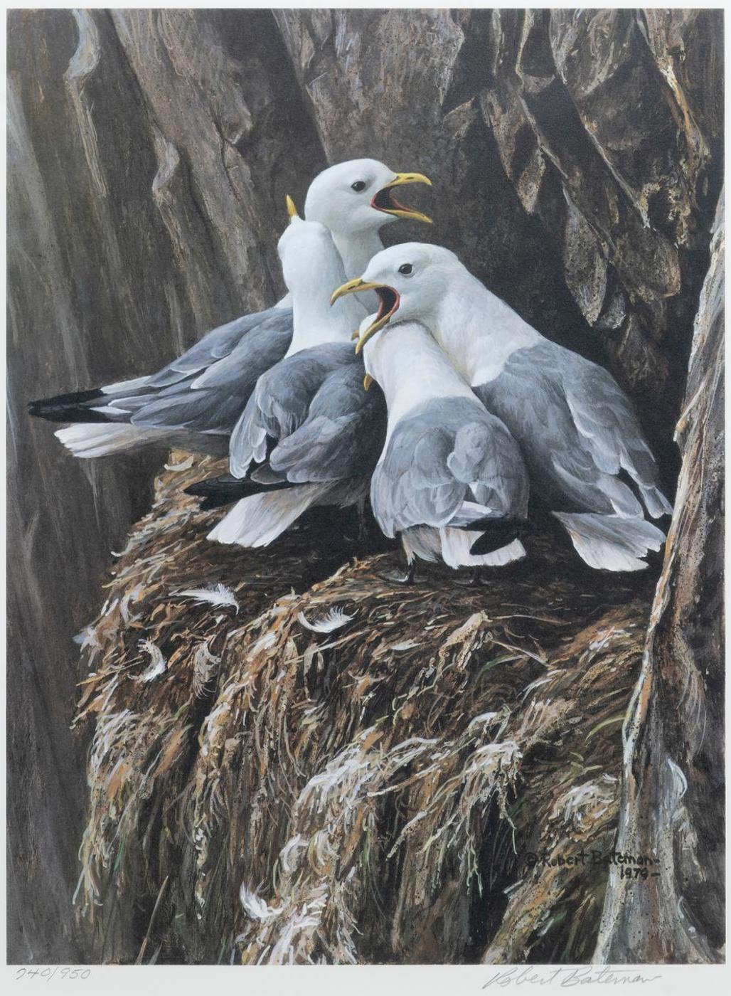 Robert Mclellan Bateman (1930-1922) - Kittiwake Greeting