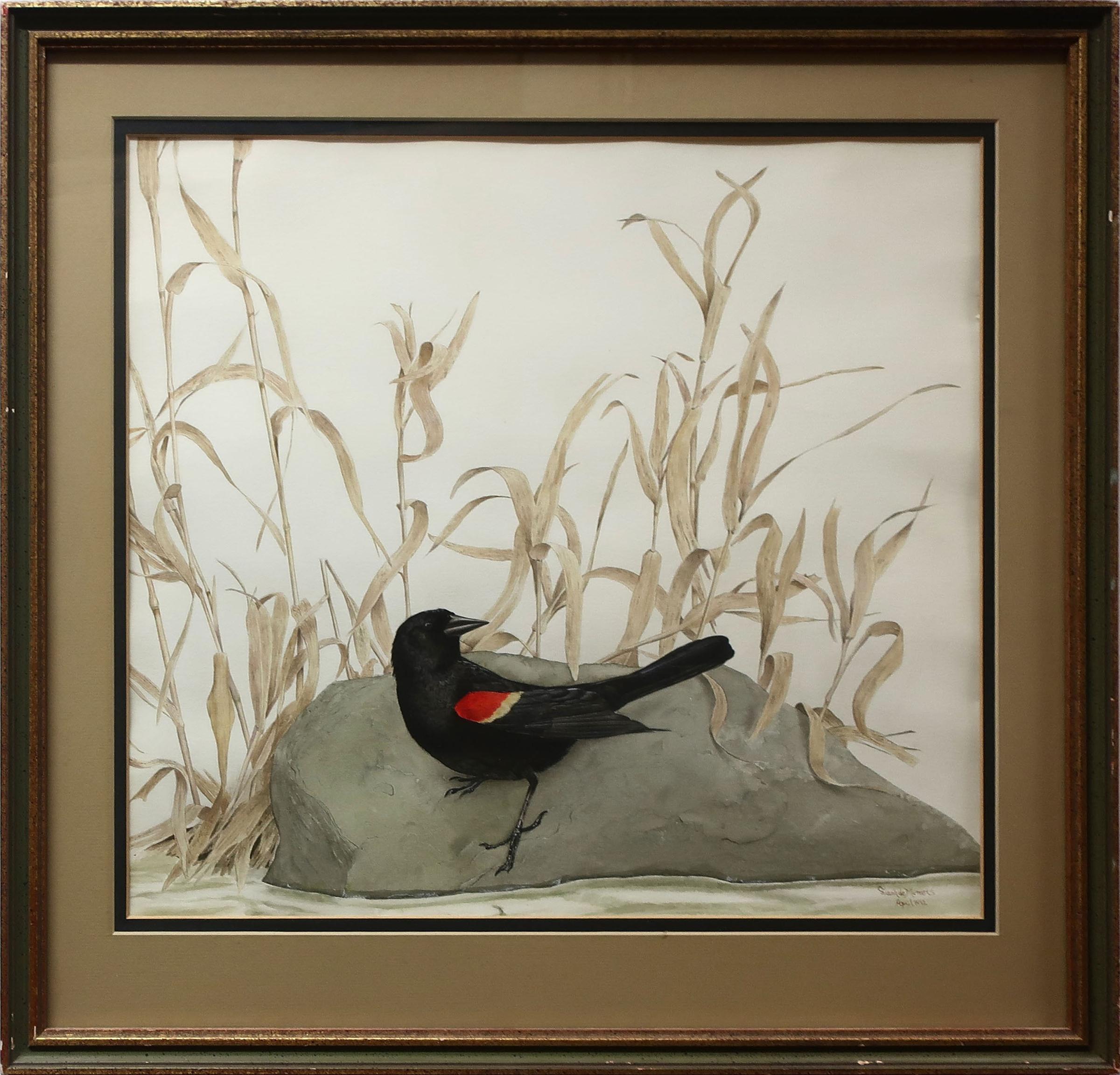 Frank Alberto de Matteis (1952) - Red-Winged Blackbird