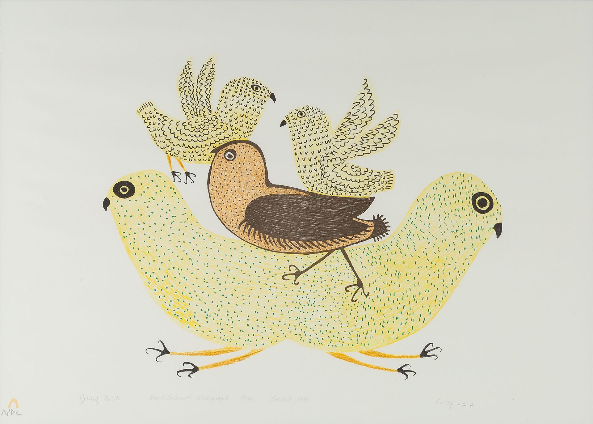 Lucy Qinnuayuak (1915-1982) - Young Birds