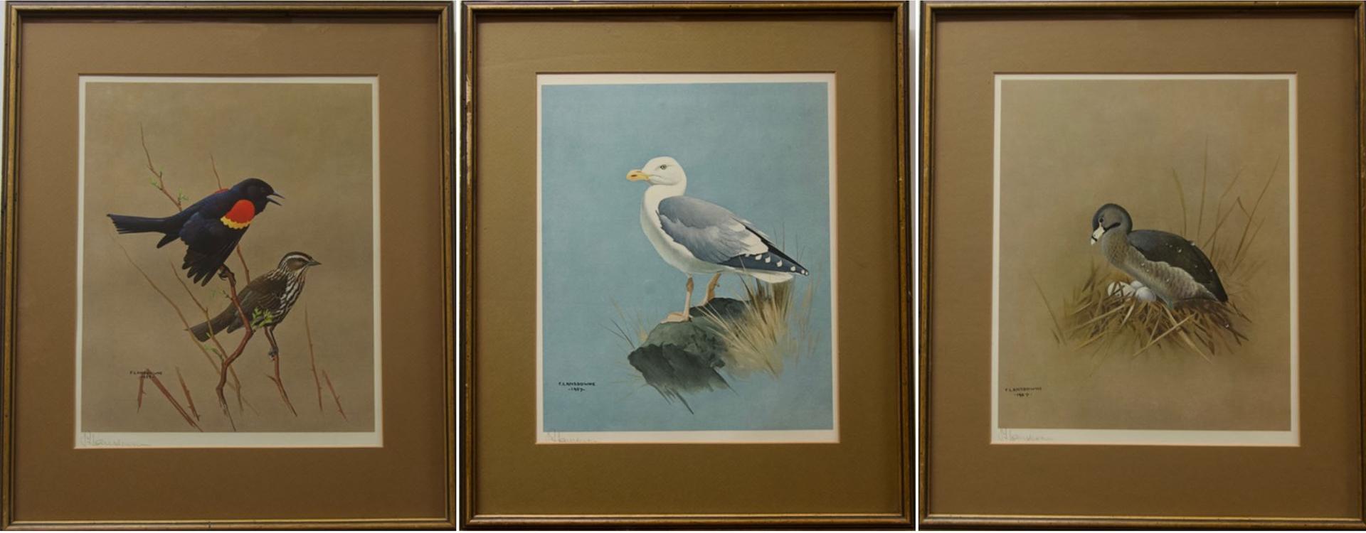 James Fenwick Lansdowne (1937-2008) - Bird Studies