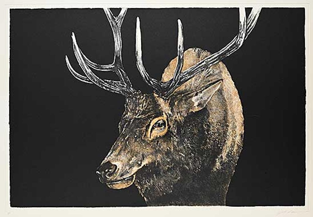 Jack Lee Cowin (1947-2014) - Untitled - Portrait of an Elk #A/P