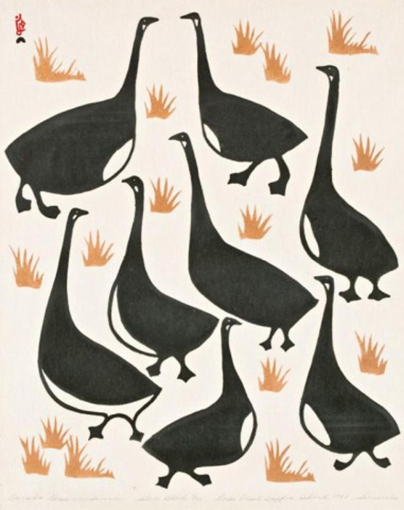 Simeonie Quppapik (1909-1974) - Canada Geese in Summer, 1960 #60, Stonecut and stencil, 4/50