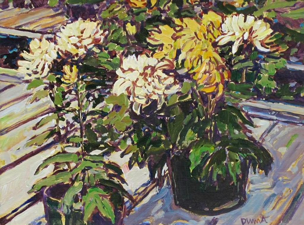 William (Bill) Duma (1936) - Potted Flowers