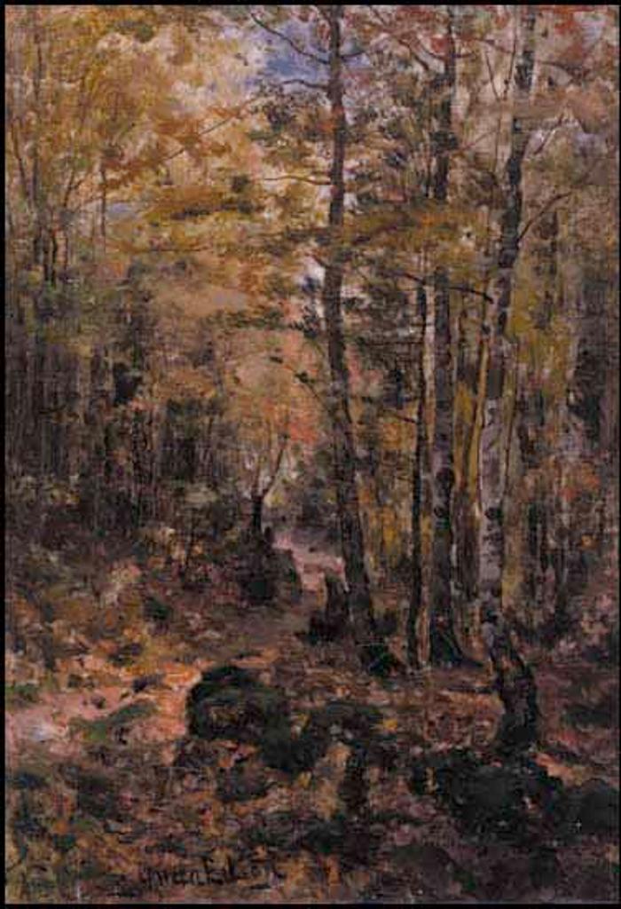 Aaron Allan Edson (1846-1888) - Sunlit Forest Path