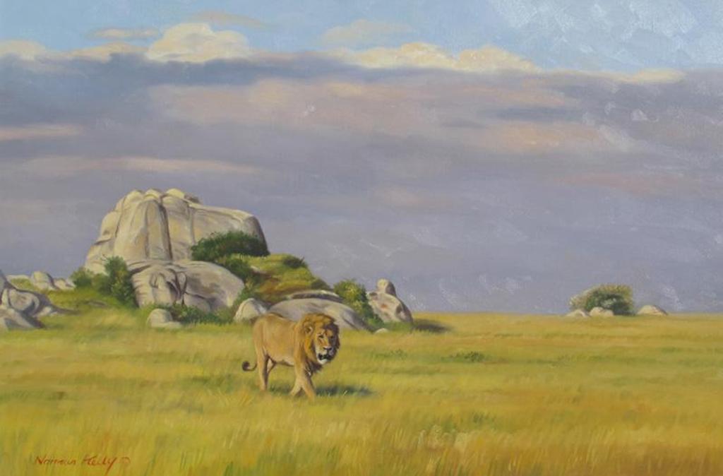 Norman Kelly (1939) - Male Lion On The Serengeti