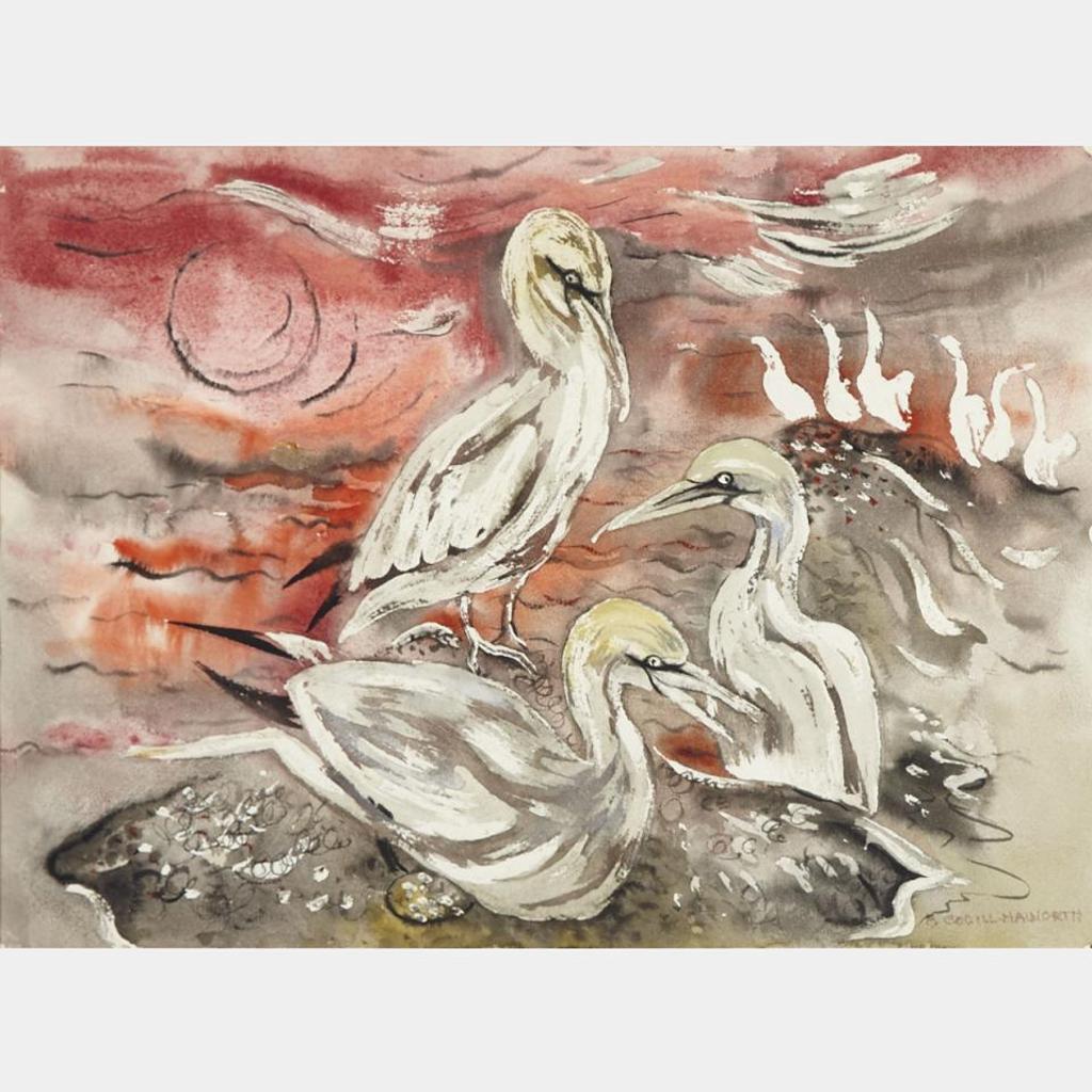 Bobs (Zema Barbara) Cogill Haworth (1900-1988) - Gannets