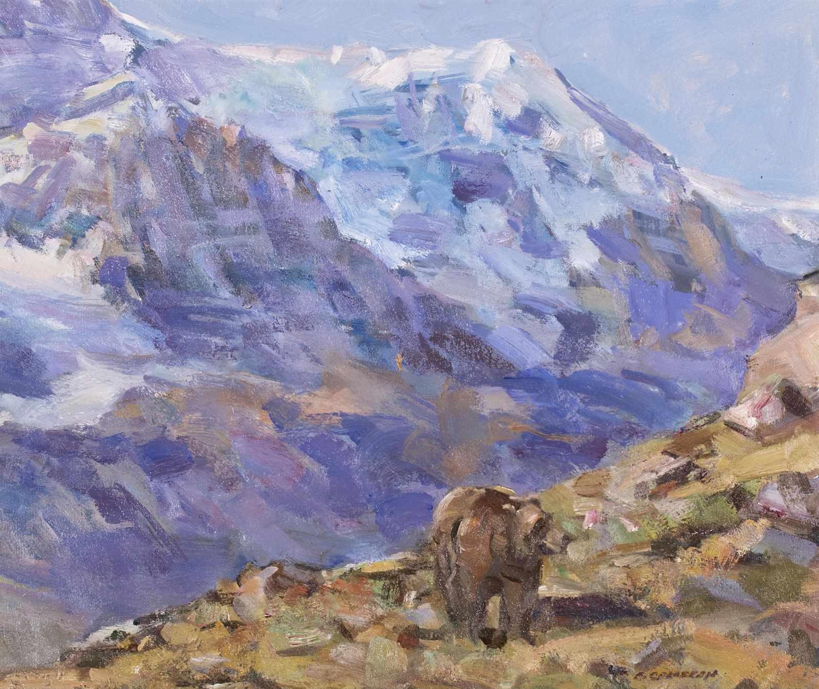 Fred Cameron (1937) - Below Wilcox Pass