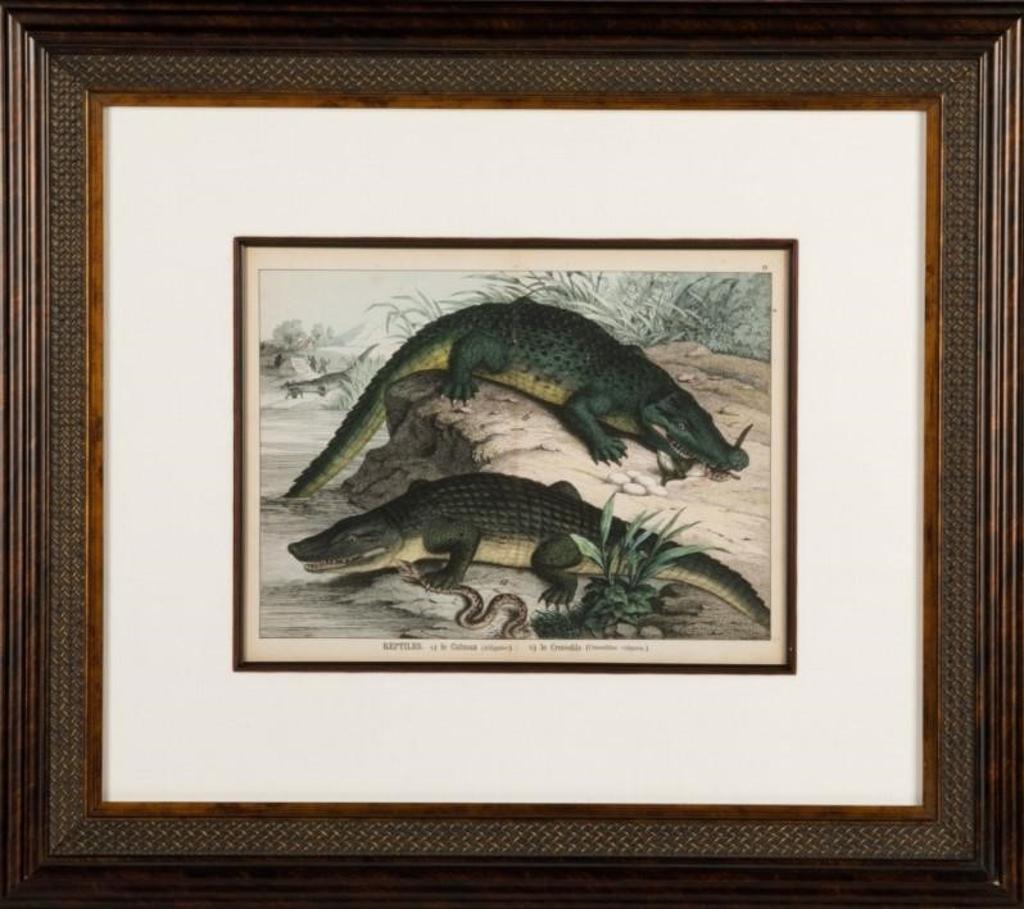 Gotthilf Heinrich Von Schubert (1780-1790) - le Caiman and le Crocodile
