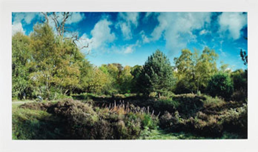 Scott Mcfarland (1975) - Reclaimed Heathland, West Heath