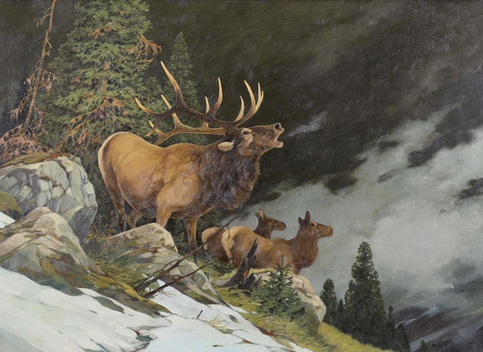 Werner R. Plangg (1934-1994) - Bugling Elk