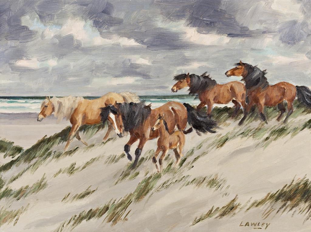 John Douglas Lawley (1906-1971) - Wild Ponies of Sable Island