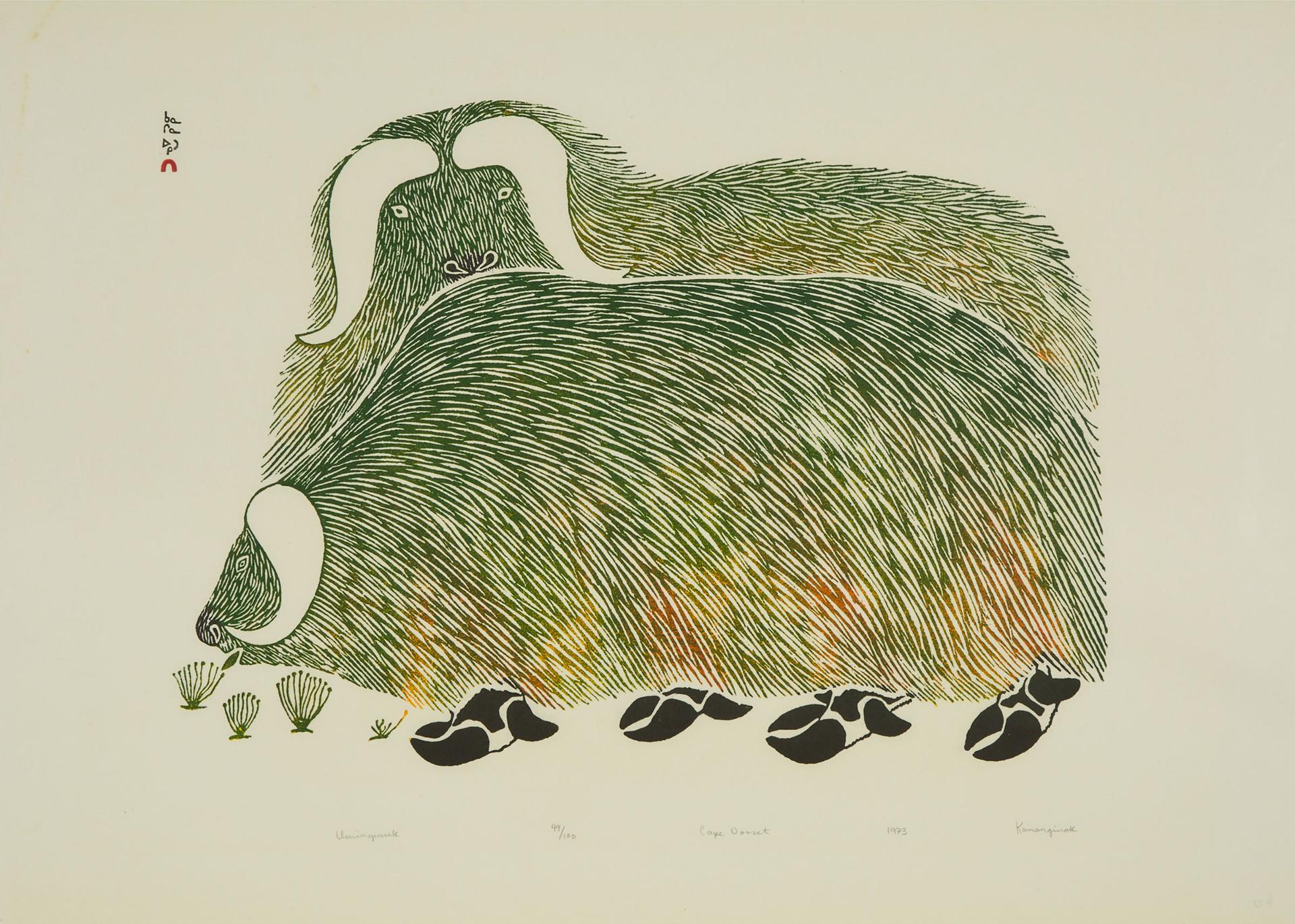 Kananginak Pootoogook (1935-2010) - Umingmuk, 1973