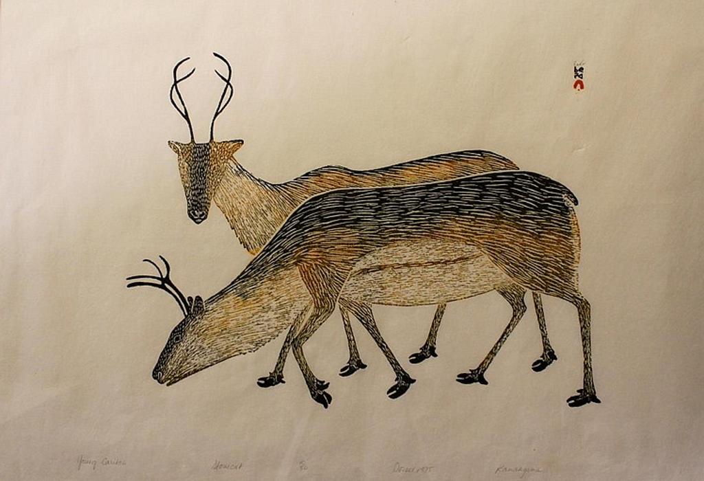 Kananginak Pootoogook (1935-2010) - Young Caribou