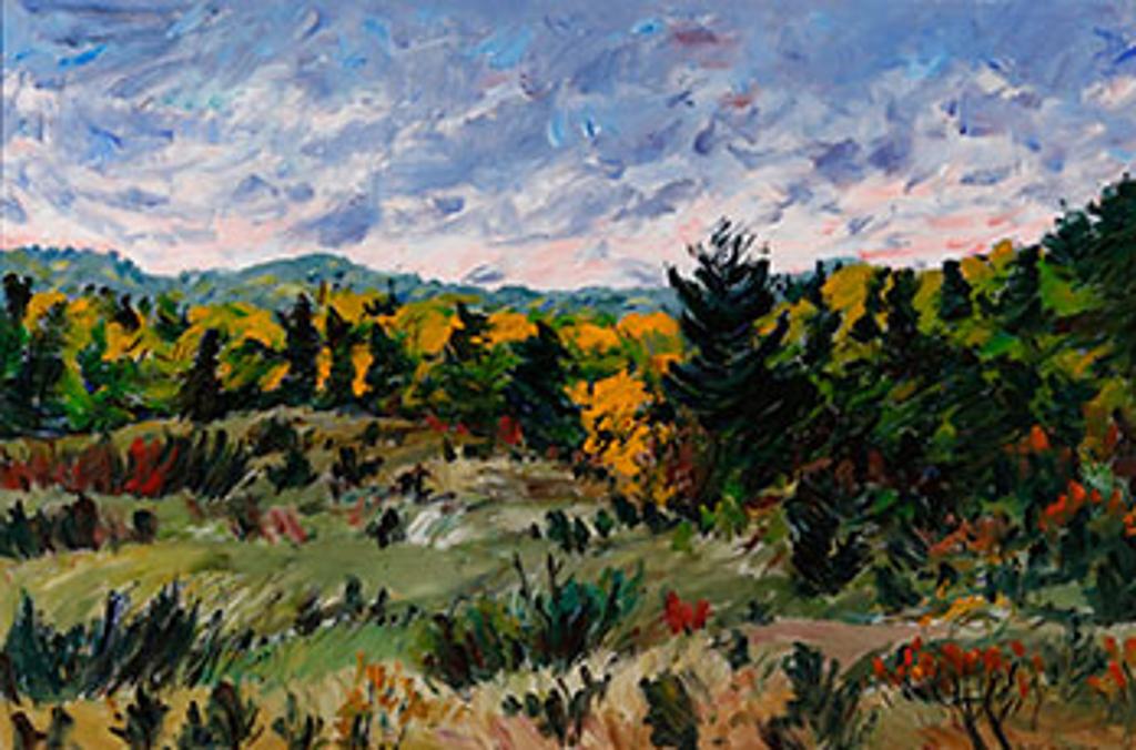 Bruce Steinhoff (1959) - Near Emsdale - October (03813/A90-055)