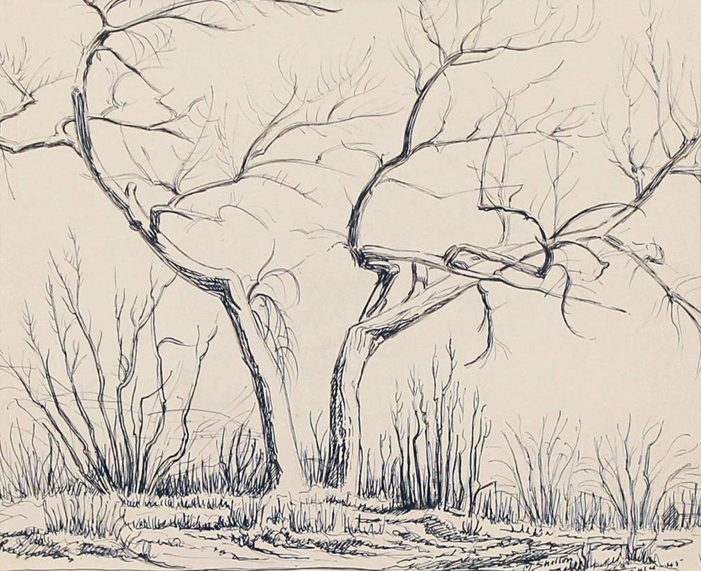 Margaret Dorothy Shelton (1915-1984) - Windblown Poplars; 1945