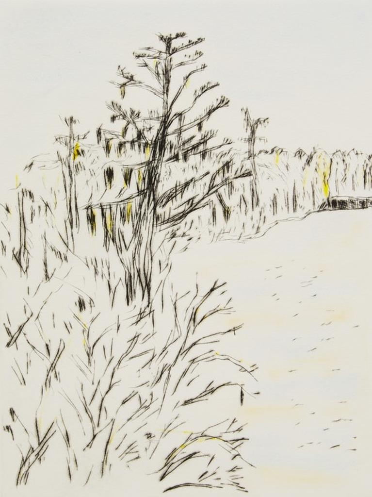 Arnold Edward Shives (1943) - Lettuce Lake; Ribbon Plant