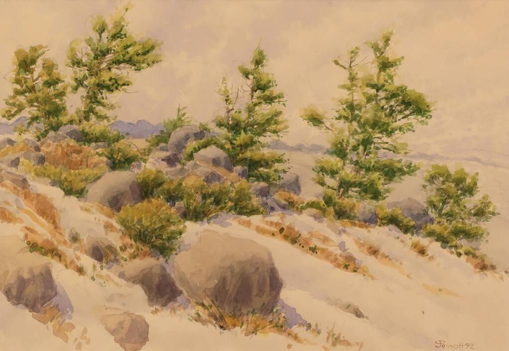 James Stanford (Stan) Perrott (1917-2001) - Trees And Rocks; 1992