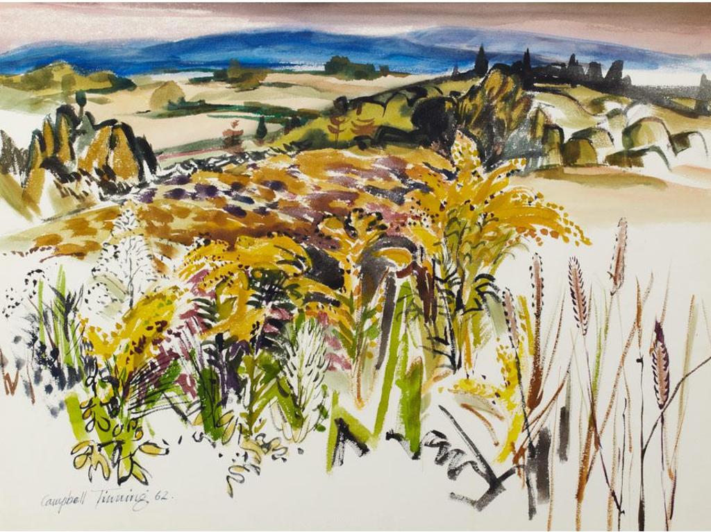 George Campbell (Cam) Tinning (1910-1996) - Field And Darkened Sky