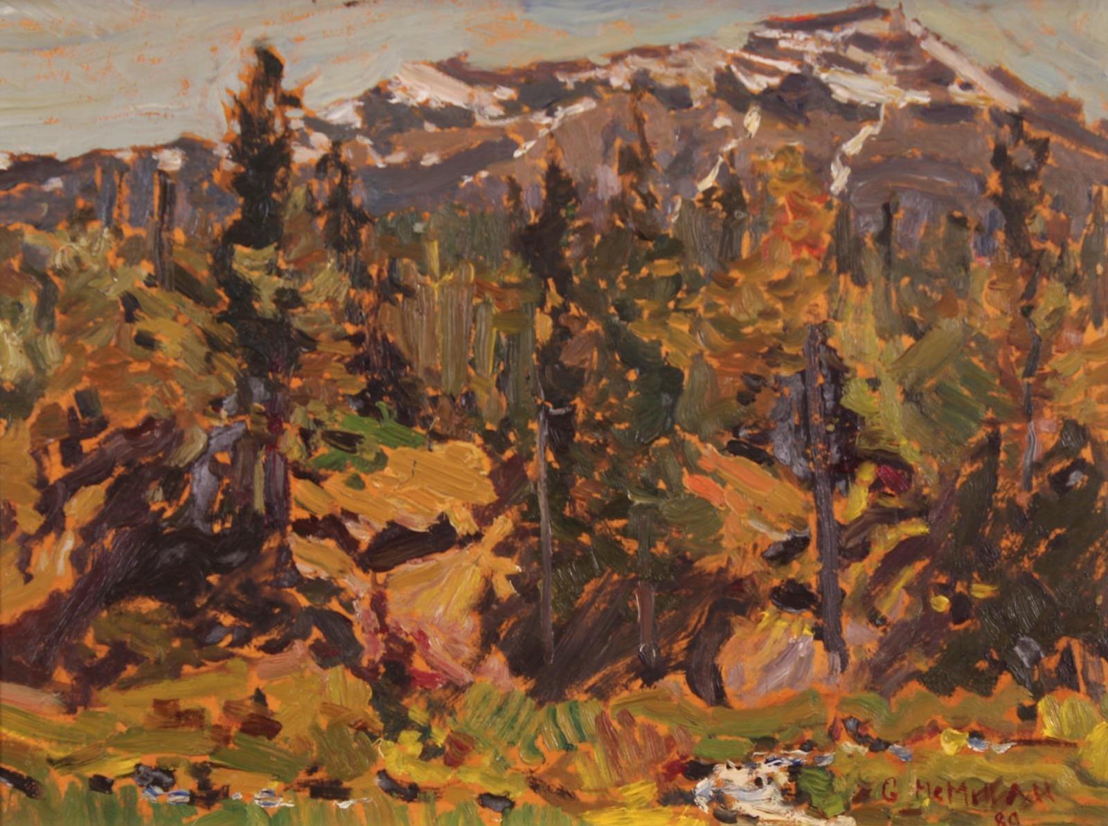 Gary McMillan - Spruce Forest, Front Range