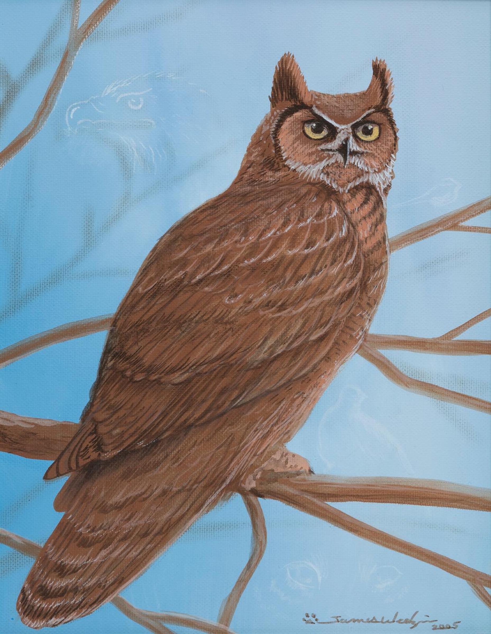 James Wedzin - Owl