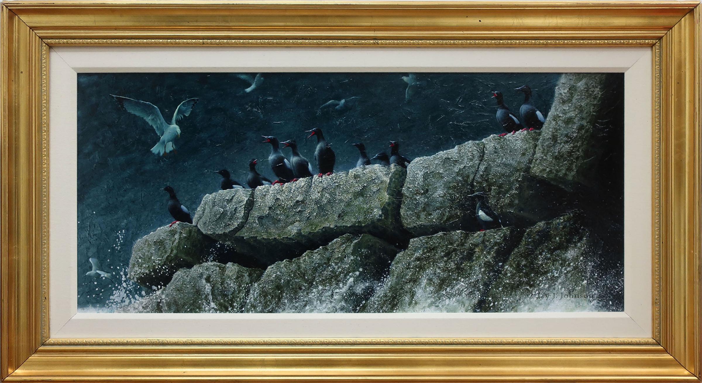 Jay J. Johnson - Sea Squall (Black Guillemot's And Gulls)