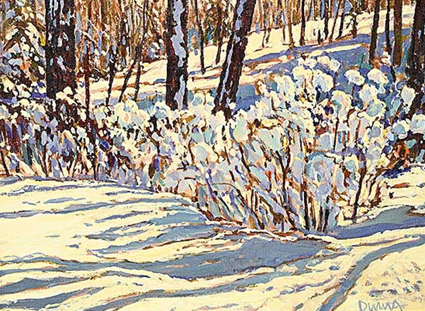 William (Bill) Duma (1936) - Snow Covering the Bush