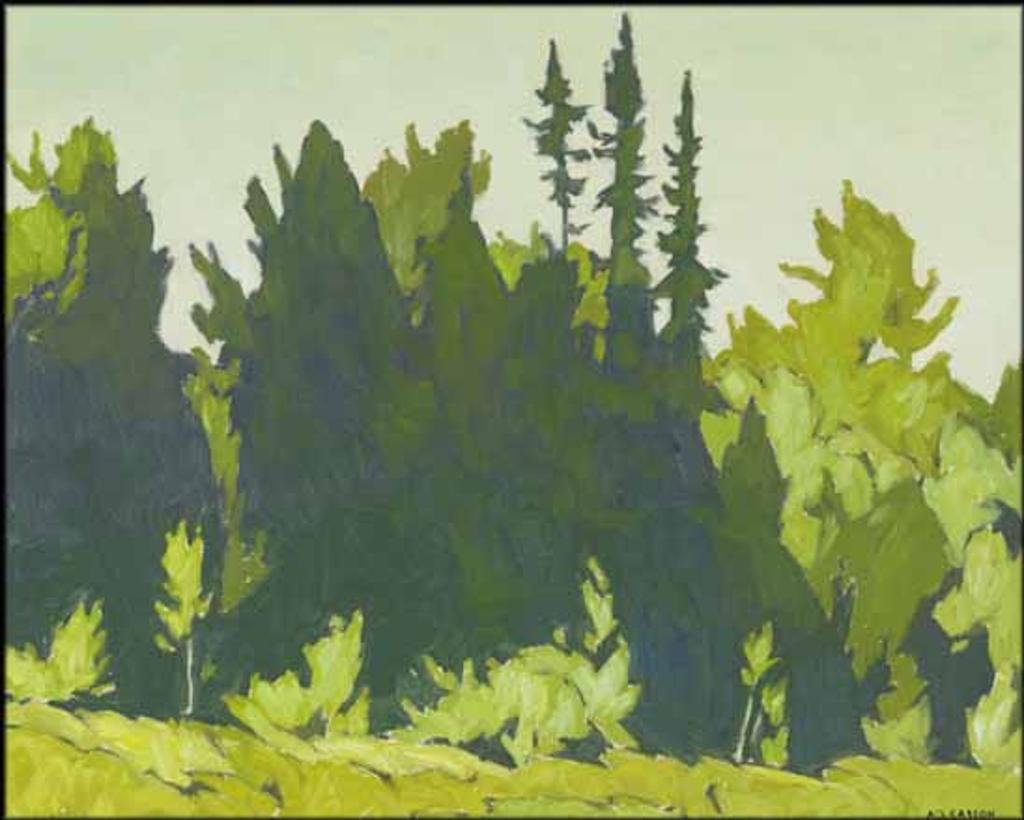 Alfred Joseph (A.J.) Casson (1898-1992) - Tall Trees, Oxtongue Lake