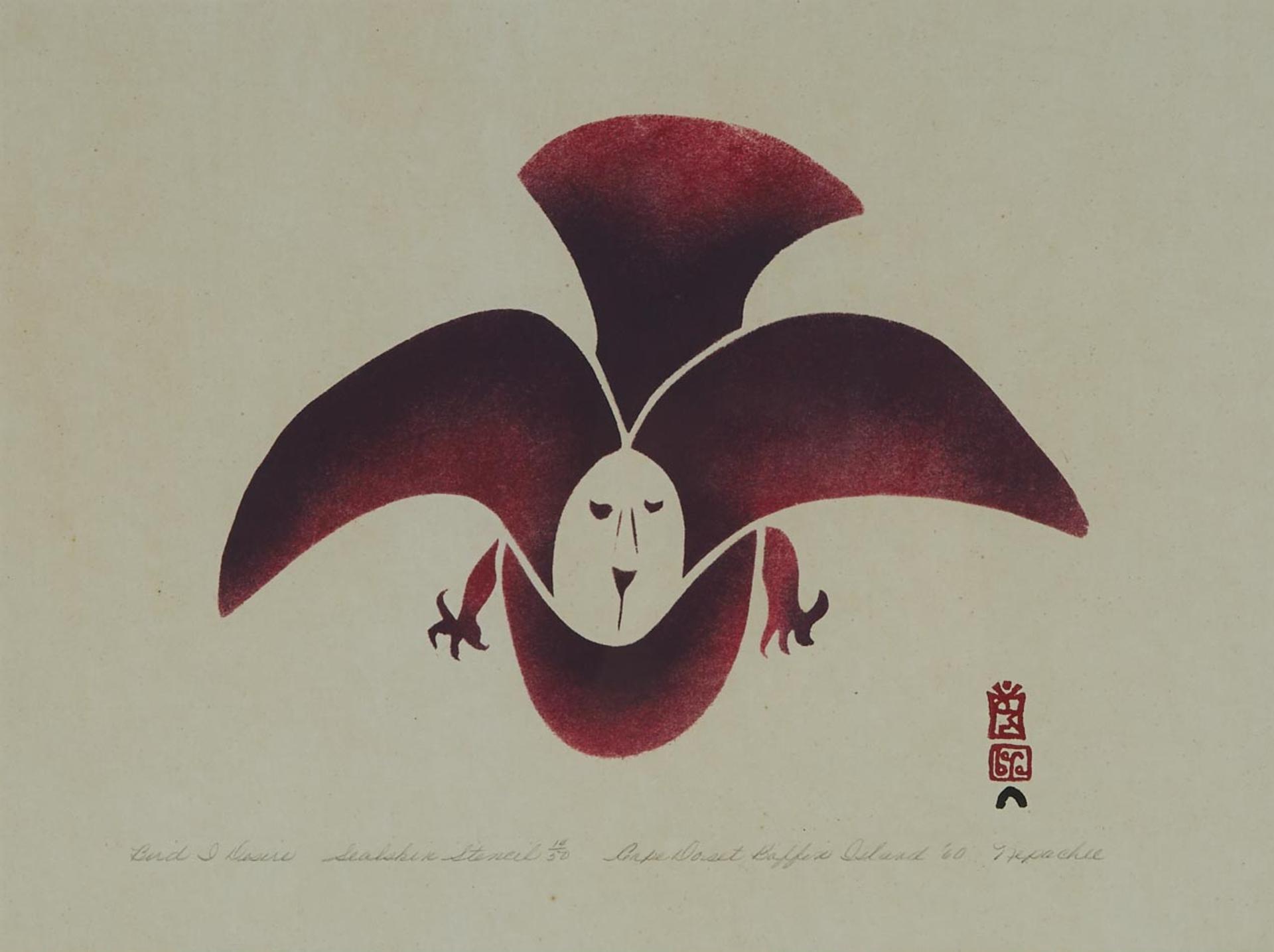 Napatchie Pootoogook (1938-2002) - Bird I Desire