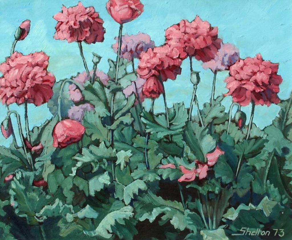 Margaret Dorothy Shelton (1915-1984) - Peony Poppies; 1973