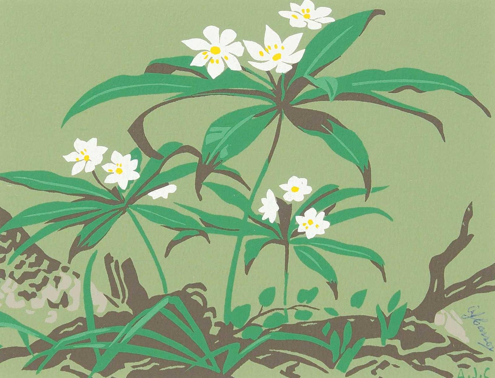 Alfred Joseph (A.J.) Casson (1898-1992) - Untitled - White Flowers