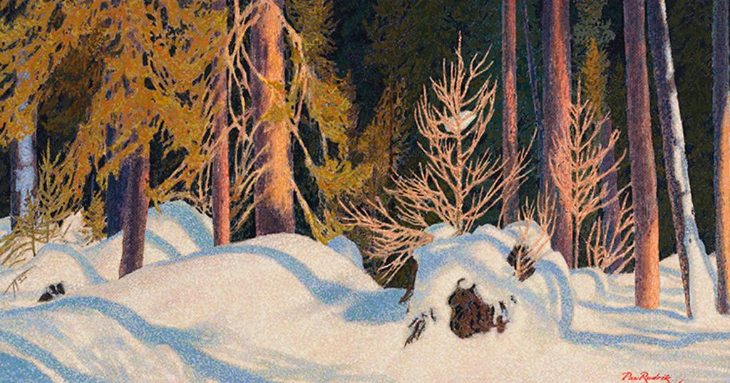 Paul (Johnston) Rodrik (1945-1983) - Nipgon Forest