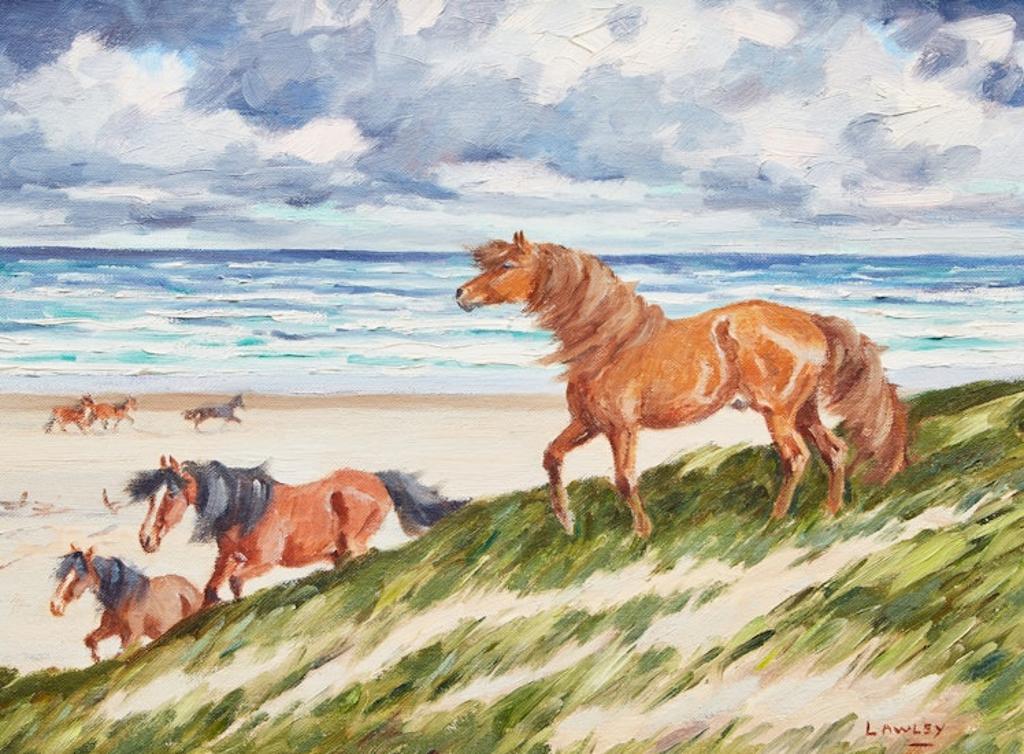 John Douglas Lawley (1906-1971) - Sable Island