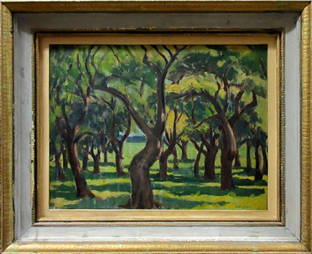 Thomas Albert Stone (1897-1978) - Sunlit Trees